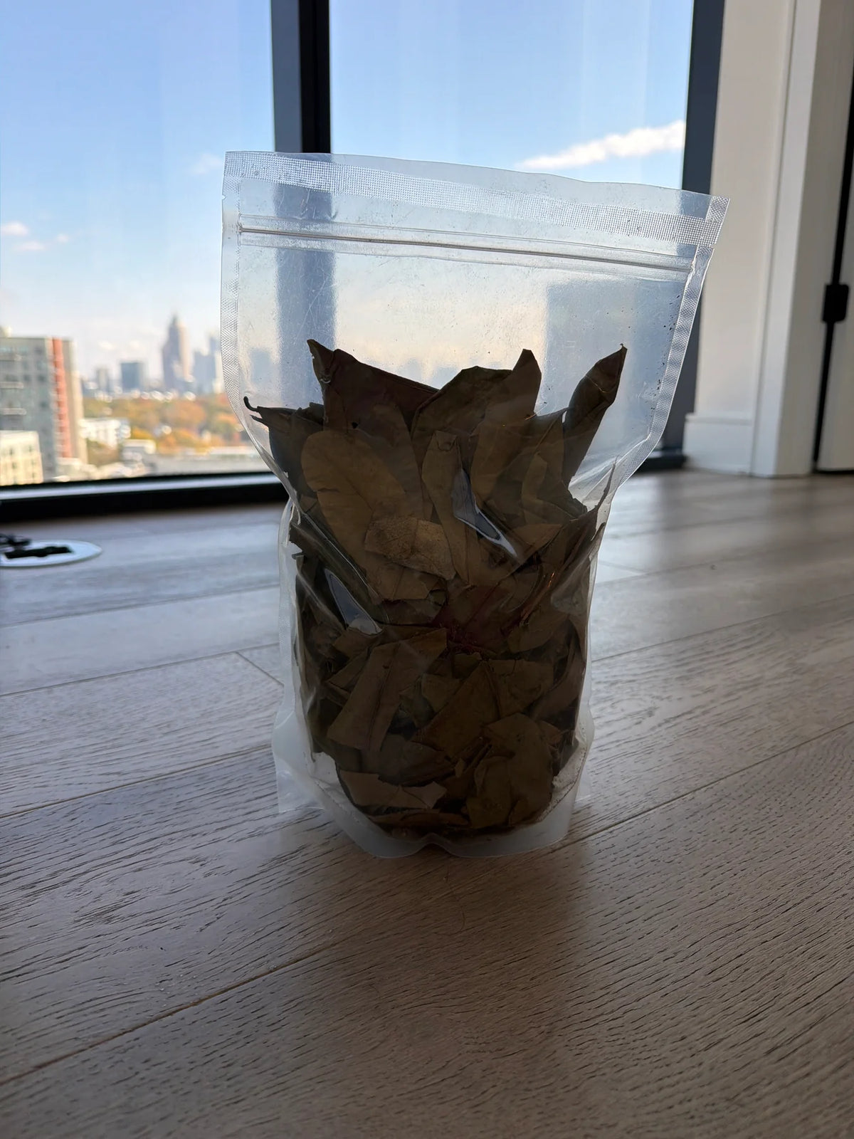 Soursop leaves -PRE ORDER