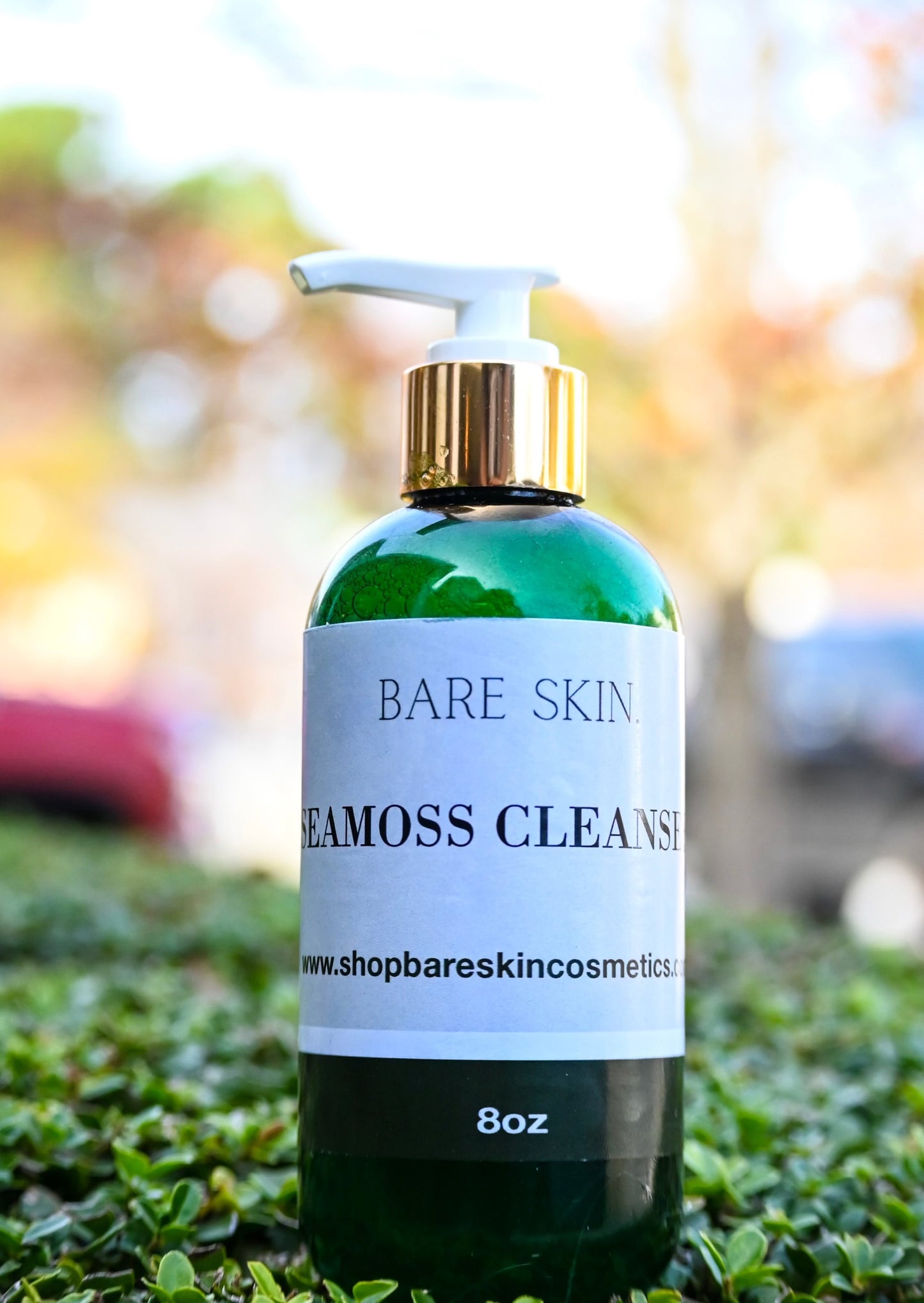 Seamoss Cleanser.