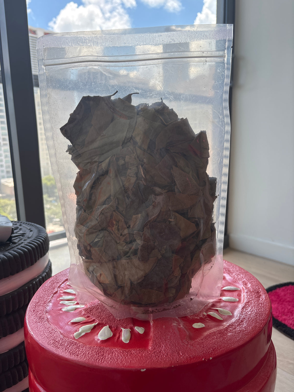 Soursop Leaves (4oz bag)